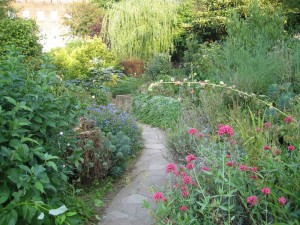 Image of Culpeper Community Garden