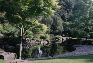 Image of Kyoto Gardens