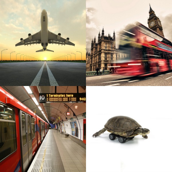An airplane, a bus, the underground and a turtle